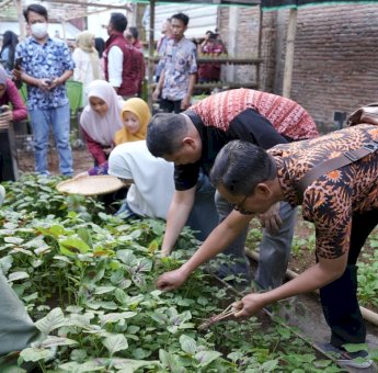 Tinjau Urban Farming Tallo, Munafri: Lahan Terbatas Bisa Jadi Sumber Penghasilan