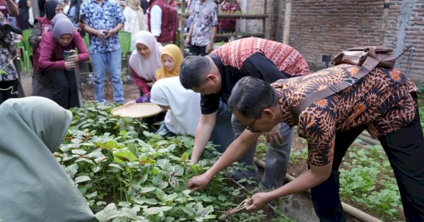 Tinjau Urban Farming Tallo, Munafri: Lahan Terbatas Bisa Jadi Sumber Penghasilan
