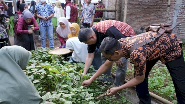 Tinjau Urban Farming Tallo, Munafri: Lahan Terbatas Bisa Jadi Sumber Penghasilan