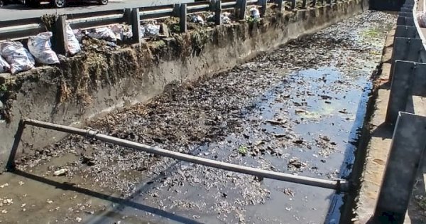 Tindaklanjuti Aduan Warga Via Lontara Plus, Dinas PU Makassar Normalisasi Saluran di Jalan Pengayoman