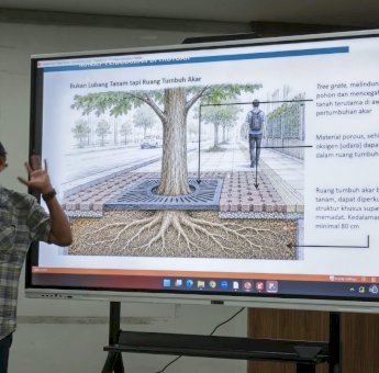 DLH Makassar Libatkan Arborist Tata Pohon di Pedestrian Kajaolalido-Thamrin