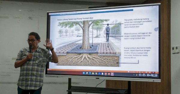 DLH Makassar Libatkan Arborist Tata Pohon di Pedestrian Kajaolalido-Thamrin