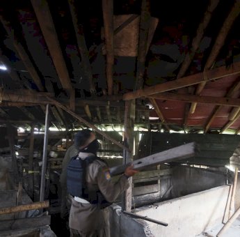 Pemkot Makassar Tertibkan Peternakan Babi di Panaikang, Fasilitasi Pemindahan Ternak