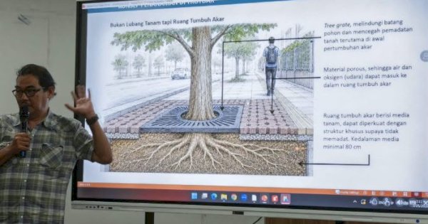Revitalisasi Kajaolalido-Thamrin, Pemkot Makassar Libatkan Arborist Jaga Pohon dan Lingkungan