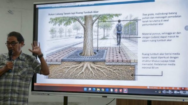 Revitalisasi Kajaolalido-Thamrin, Pemkot Makassar Libatkan Arborist Jaga Pohon dan Lingkungan